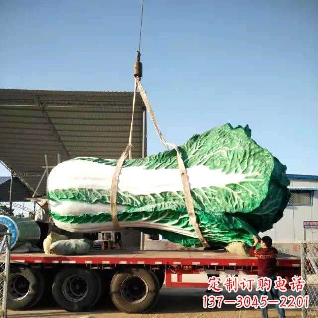开封白菜之美——给你一份独特的食材