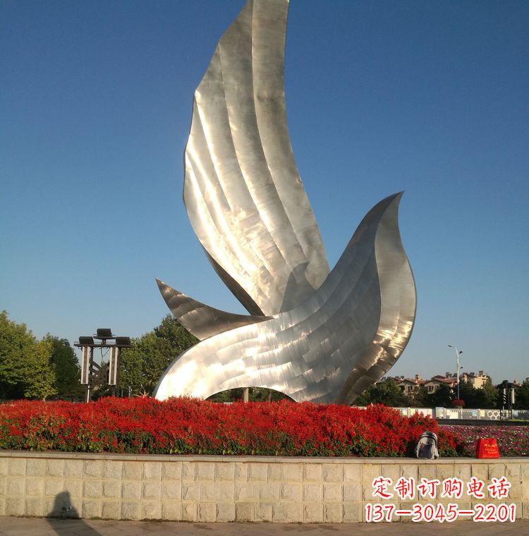 开封“鸽子之恋”——让爱飞翔