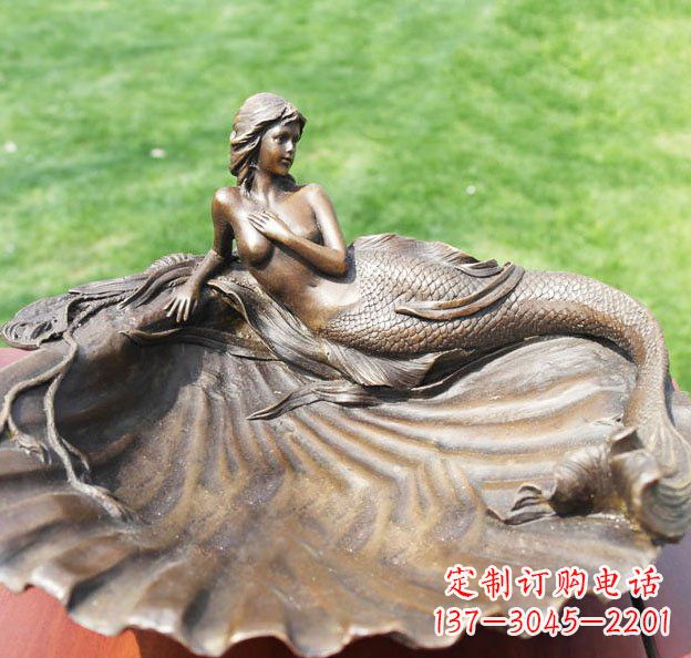 开封新颖贝壳美丽的艺术之旅