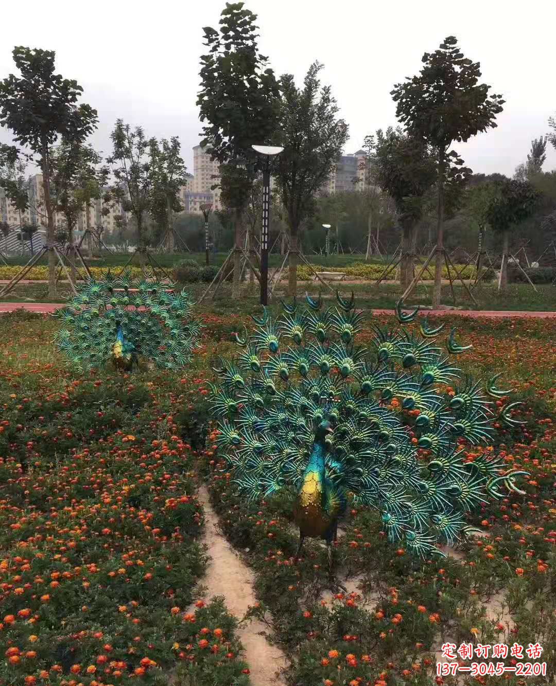 开封不锈钢彩绘孔雀雕塑