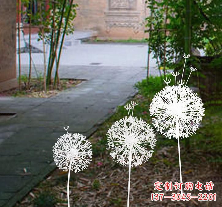 开封不锈钢蒲公英点亮城市之美