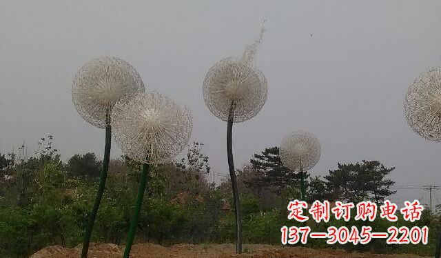 开封蒲公英的绚丽多彩