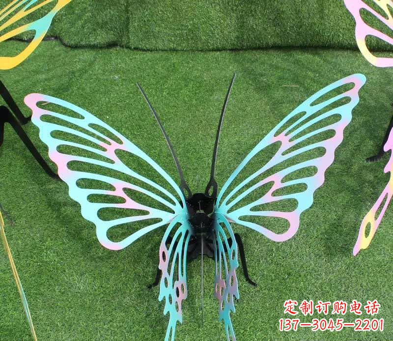 开封彩色不锈钢镂空蝴蝶雕塑精美又充满生机