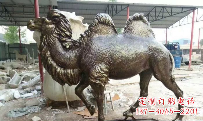 开封铜雕骆驼,精致优雅