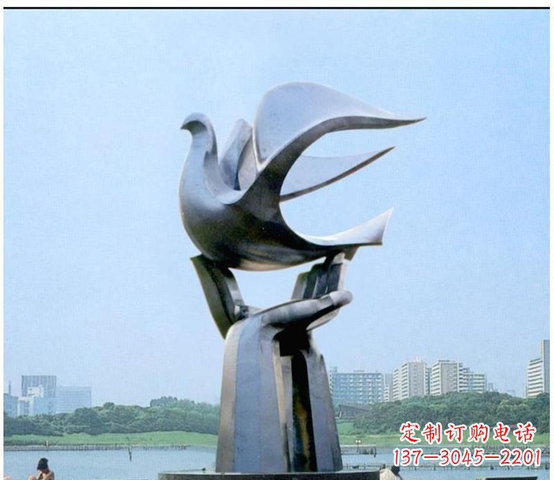 开封静谧之鸽,传递和平象征~