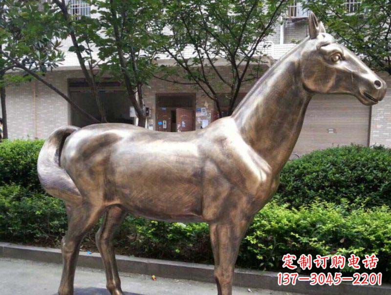 开封公园马动物铜雕 (3)