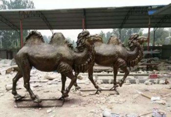 开封欣赏大自然的艺术之作——骆驼铜雕