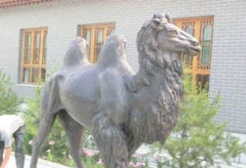 开封精美的骆驼铜雕，提升您的公园气质