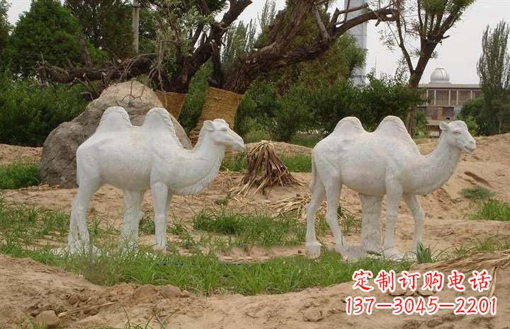 开封欣赏大自然,石雕骆驼公园动物雕塑邀请您