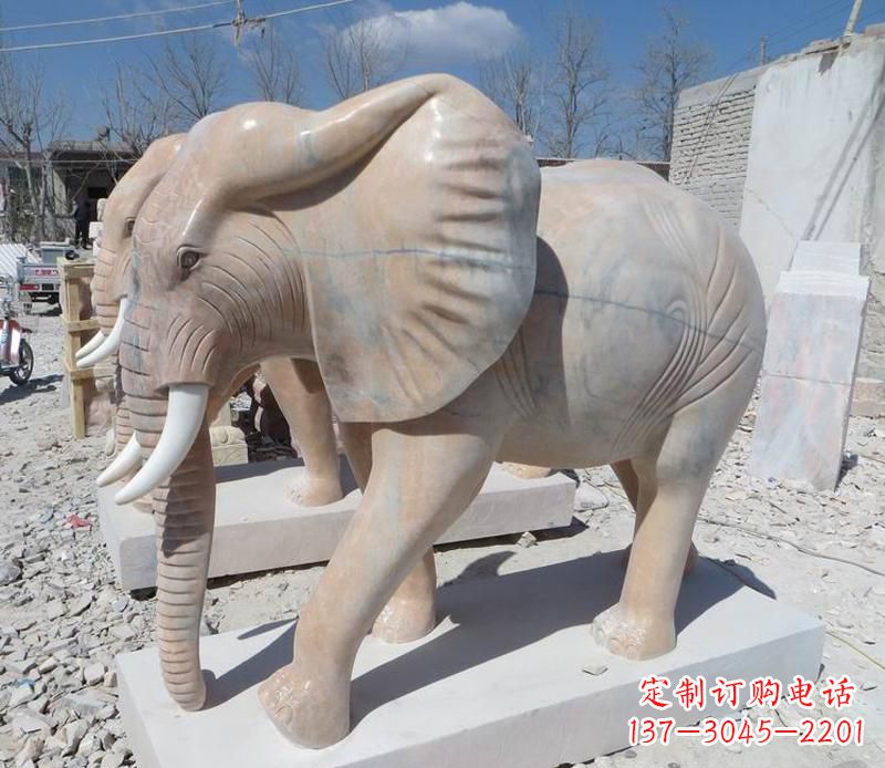 开封晚霞红卷鼻大象